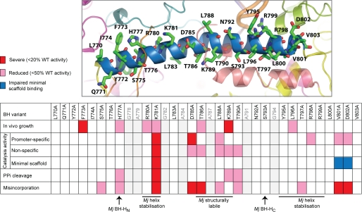 FIGURE 2.