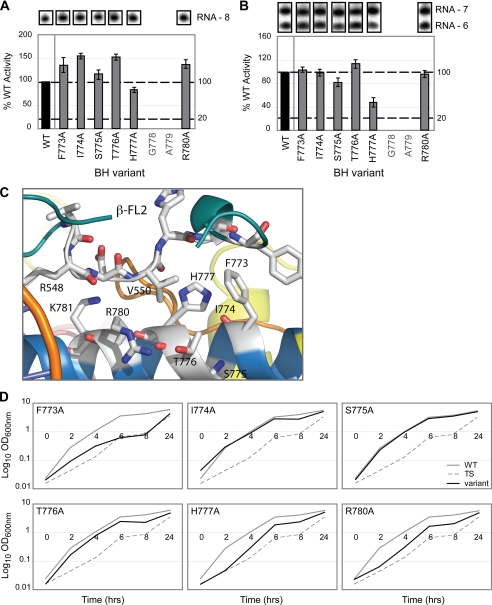 FIGURE 4.