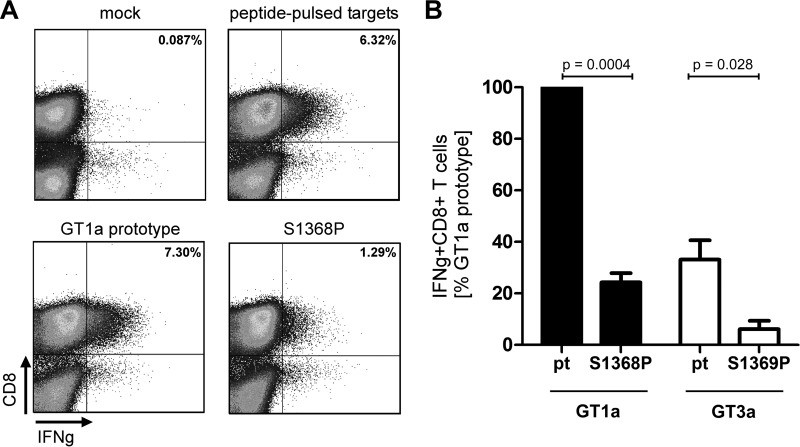 FIG 3