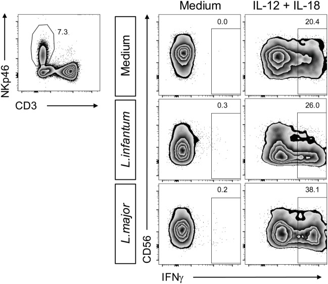 Figure 14