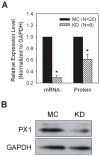 Fig. 6