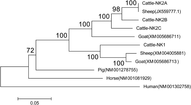 Fig. S3.