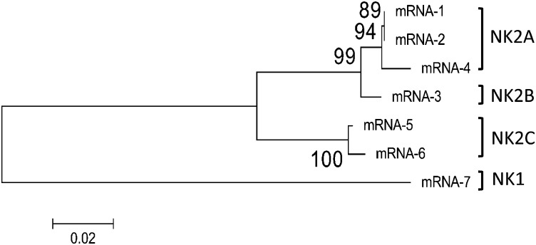 Fig. S1.