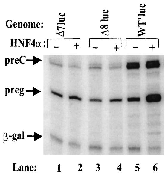 FIG. 9.