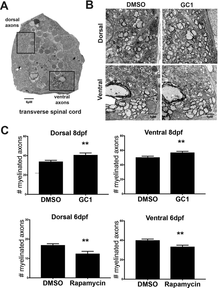 Figure 7: