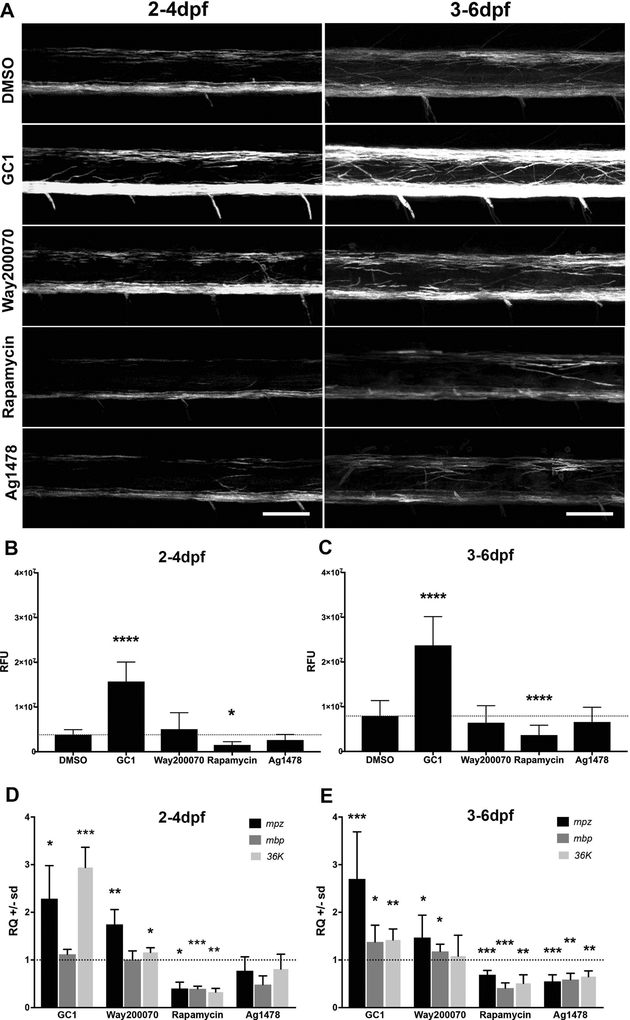 Figure 4: