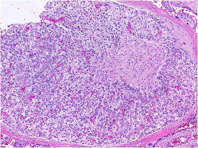 Fig. 24