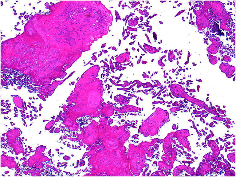 Fig. 7