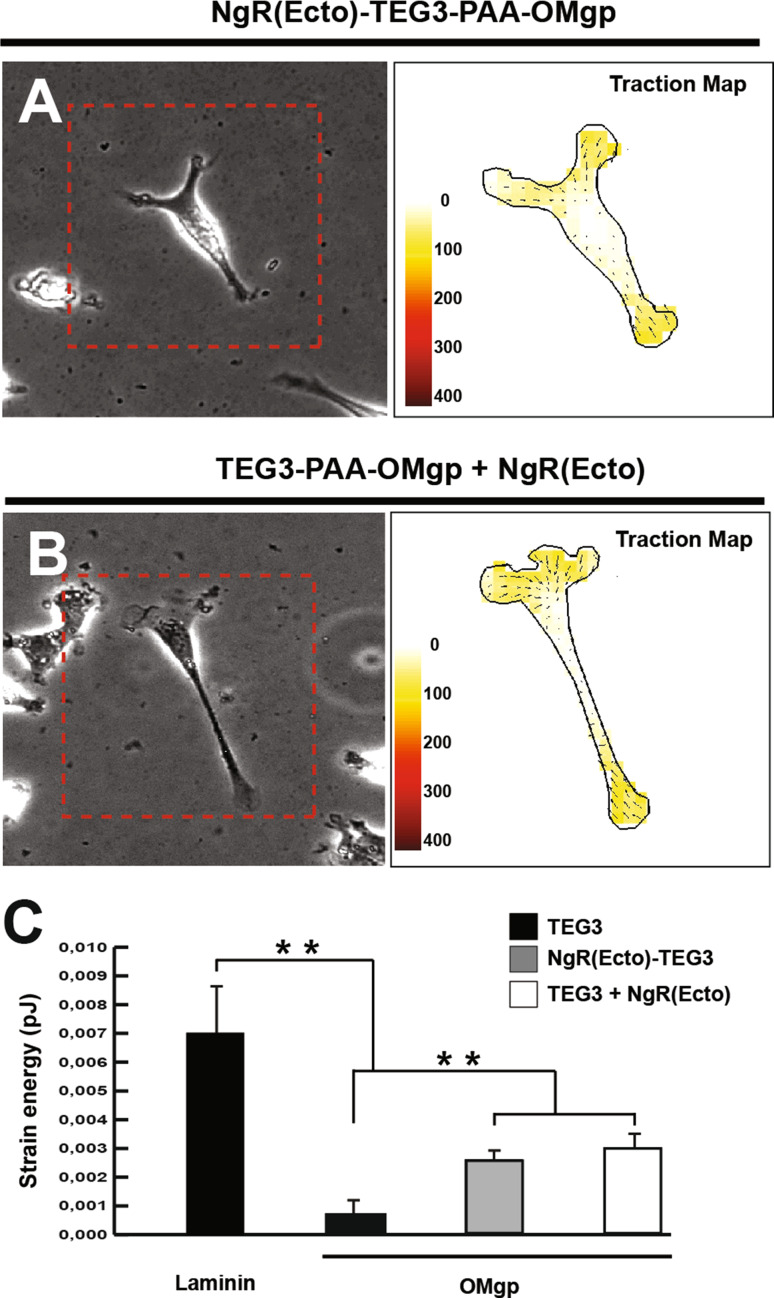 Fig. 8