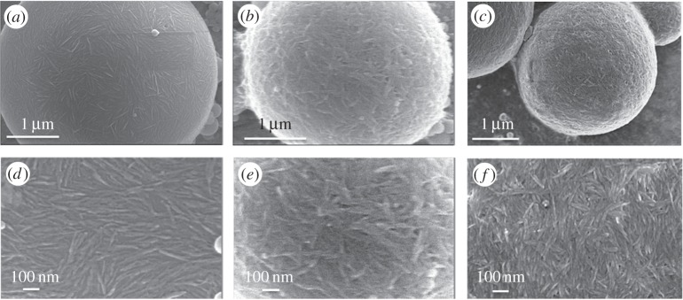 Figure 7.