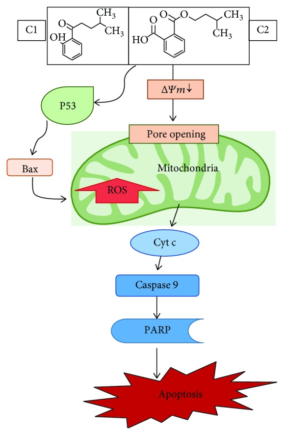 Figure 11