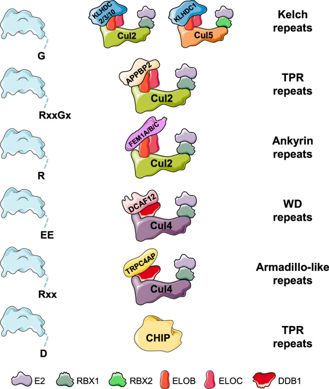 Figure 2.