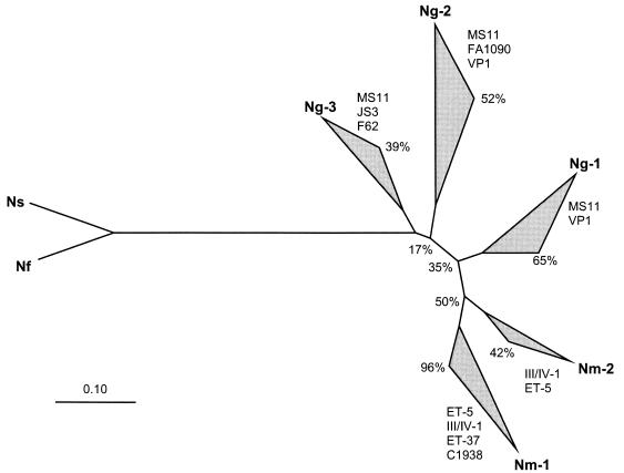 FIG. 3