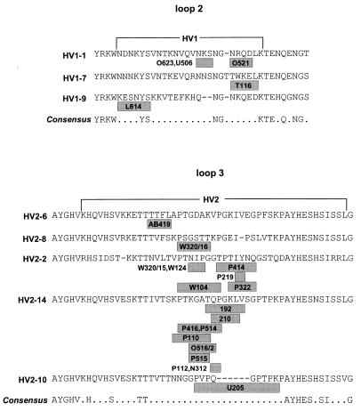 FIG. 5