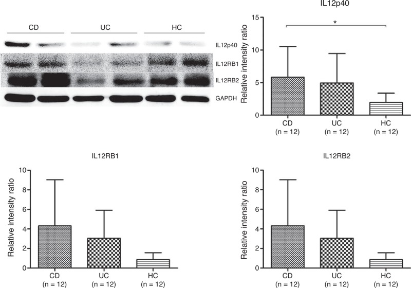 FIGURE 4