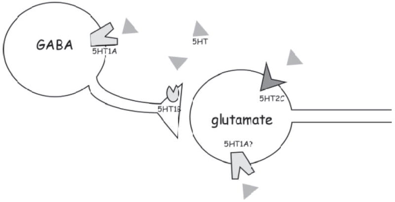 Fig. 9