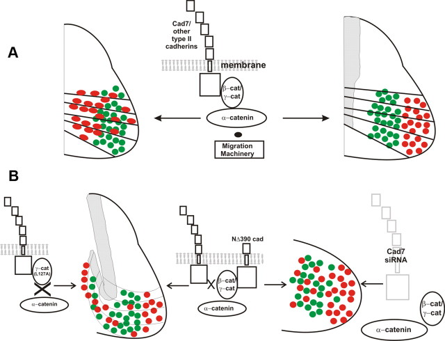 Figure 11.