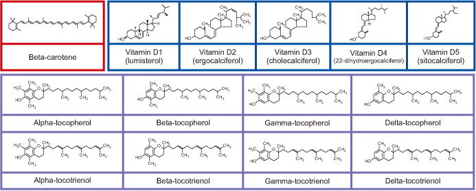 Fig. 2