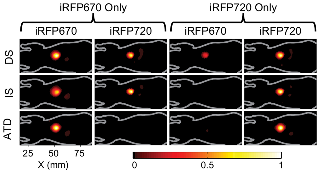 Fig. 4.