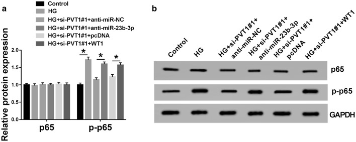 Fig. 7