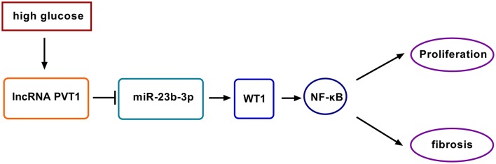 Fig. 8