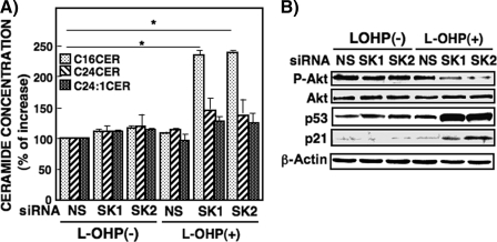 FIGURE 10.