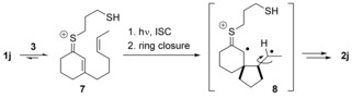 Scheme 4