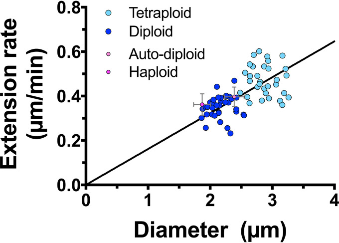 FIG 10