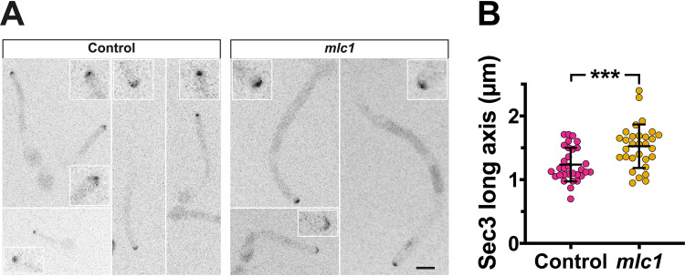 FIG 9