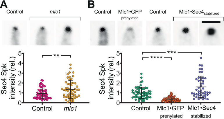 FIG 6