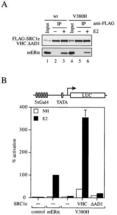 FIG. 7