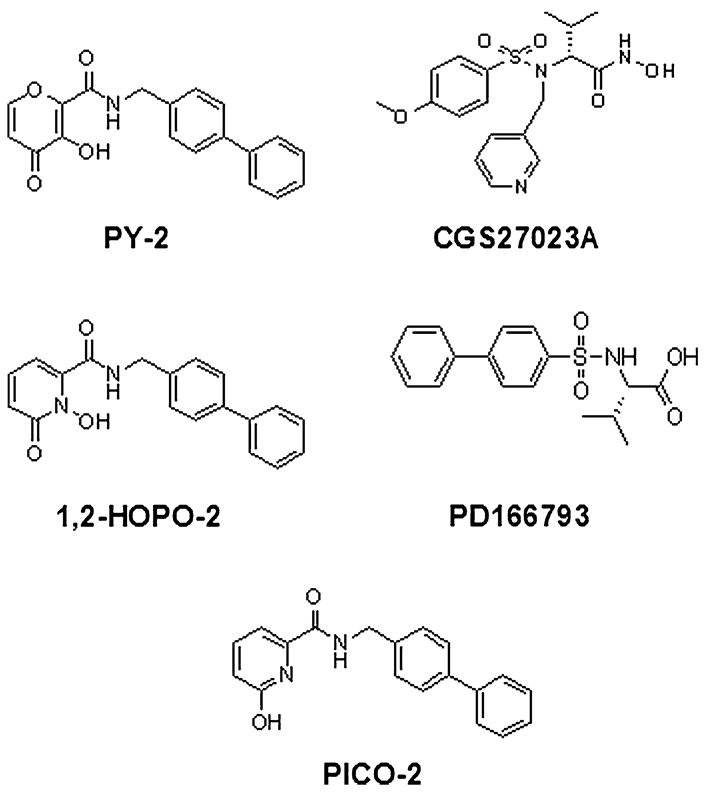 FIGURE 1