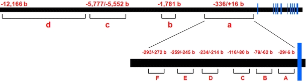 Fig. 1