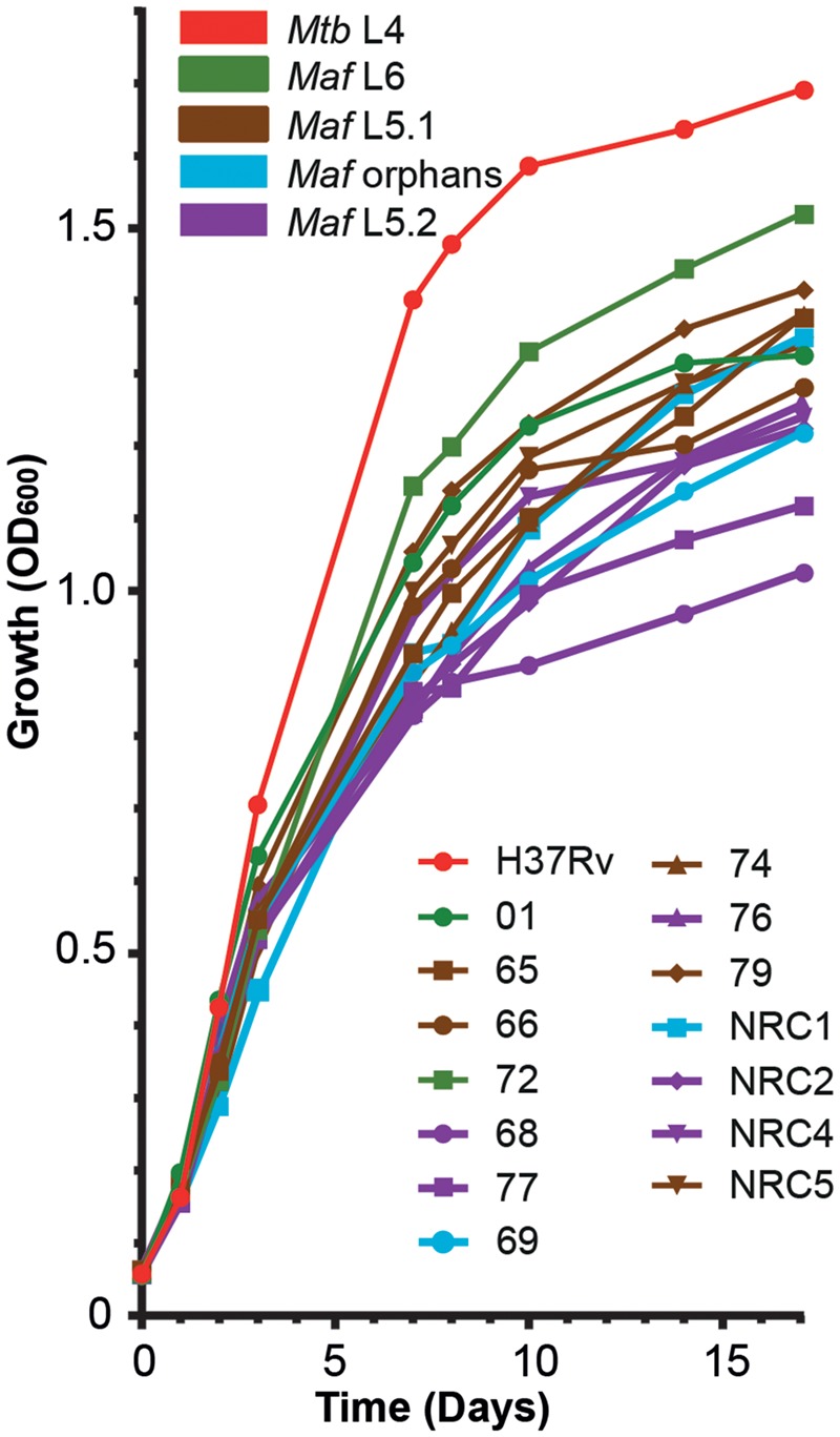 Fig. 2