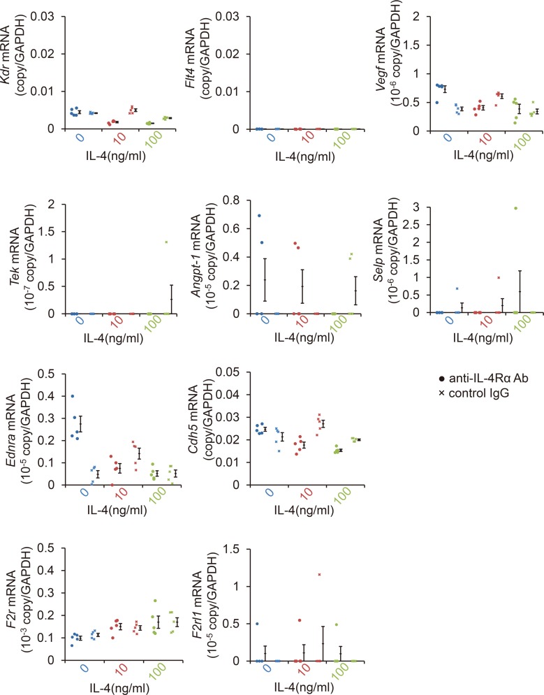 Figure 3—figure supplement 1.