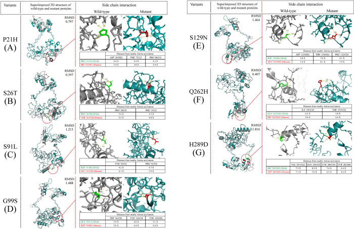 Fig 6