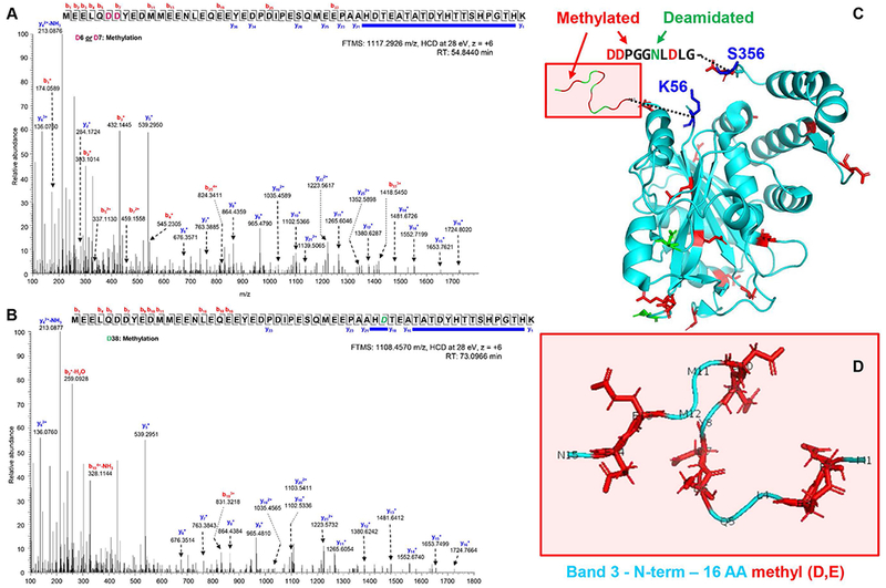 Figure 3 –