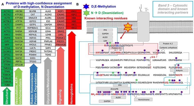 Figure 2 –