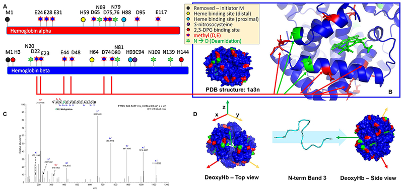 Figure 4 –