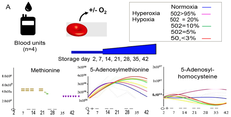 Figure 6 –