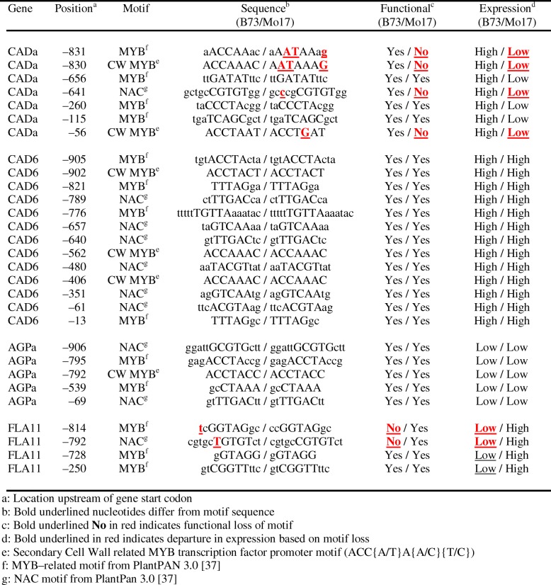 graphic file with name 12864_2019_6117_Tab3_HTML.jpg