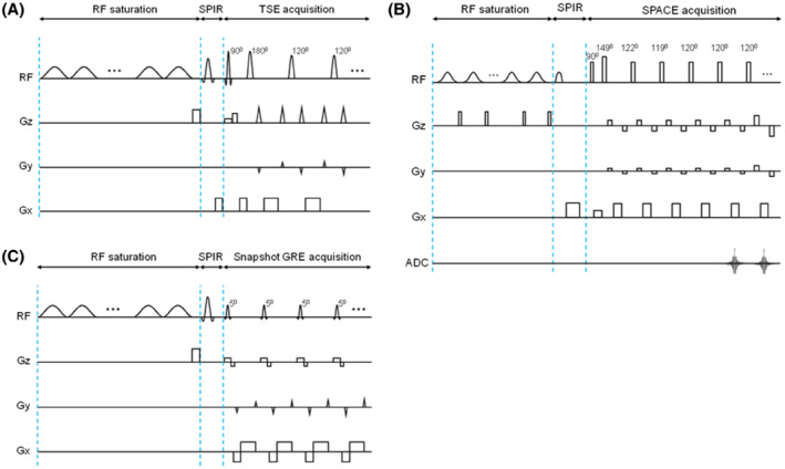 MRM-29241-FIG-0007-c