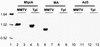 FIG. 6