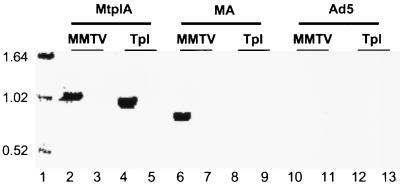 FIG. 6