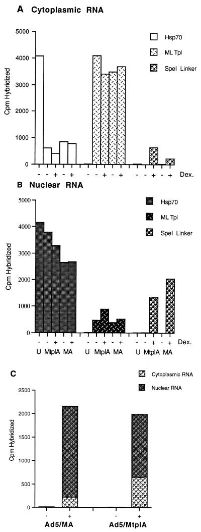 FIG. 5