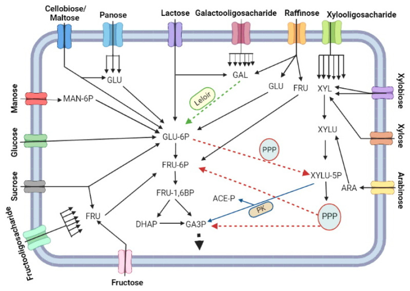 Figure 2