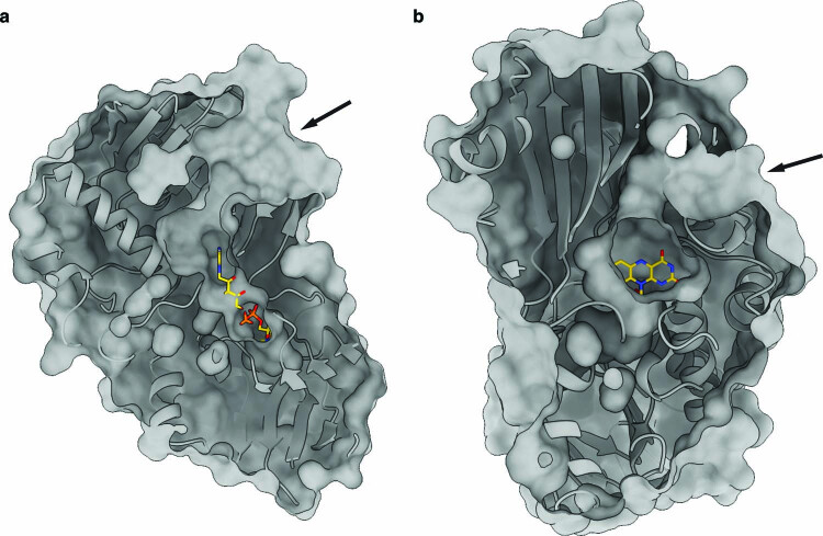 Extended Data Fig. 6