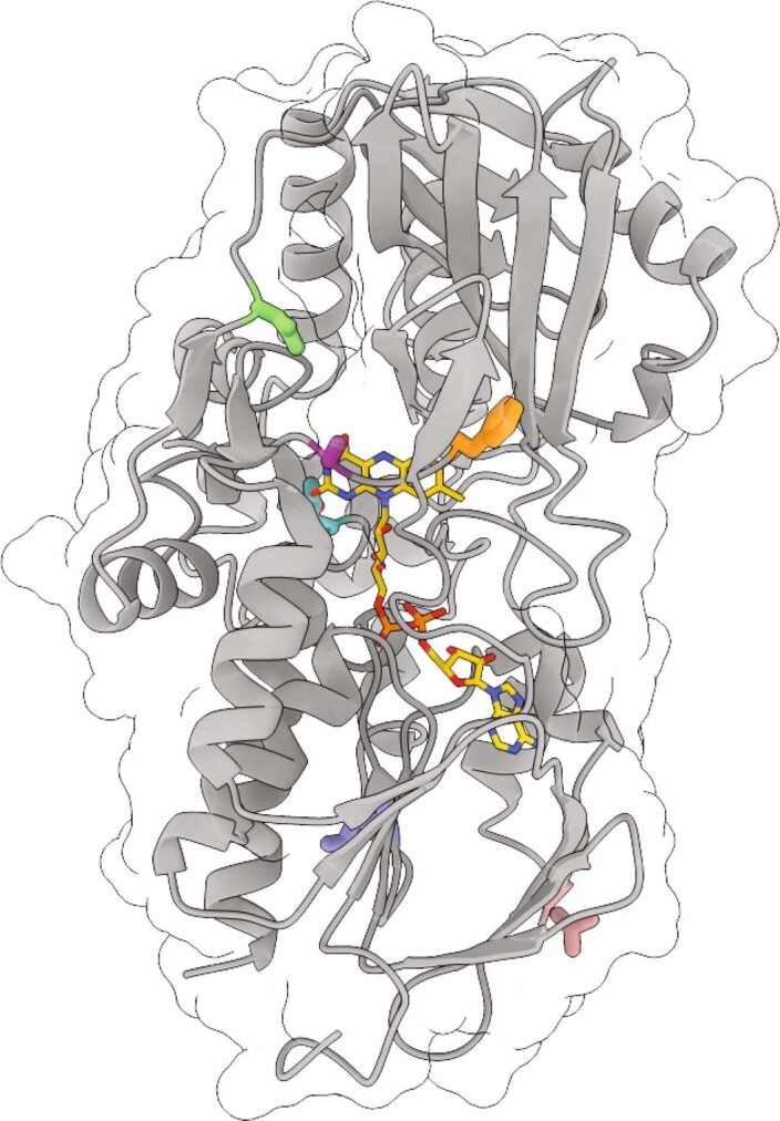 Extended Data Fig. 4