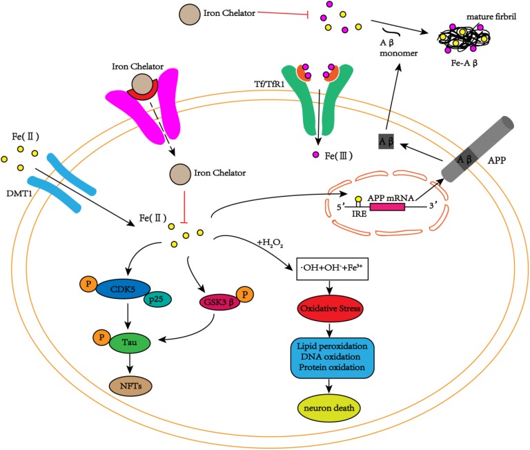 FIGURE 2