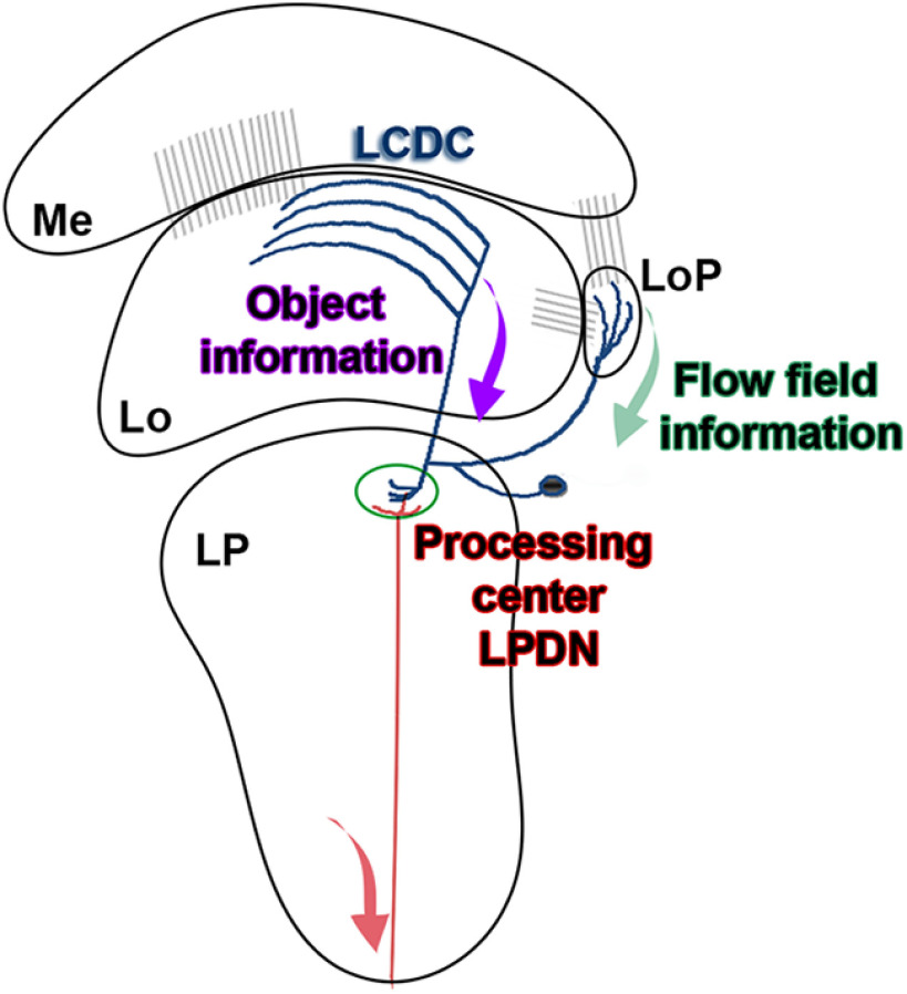 Figure 6.